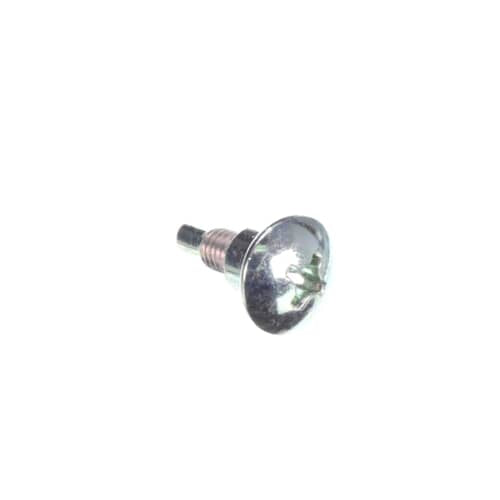 Samsung Screw-Special - 6009-001342