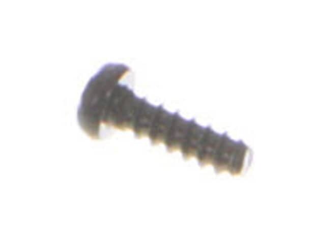 Ryobi Elect. Tools Screw M4.0 Ph Torx T20 B - L - 660024046