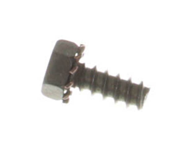 Echo Bolt - 88995325560