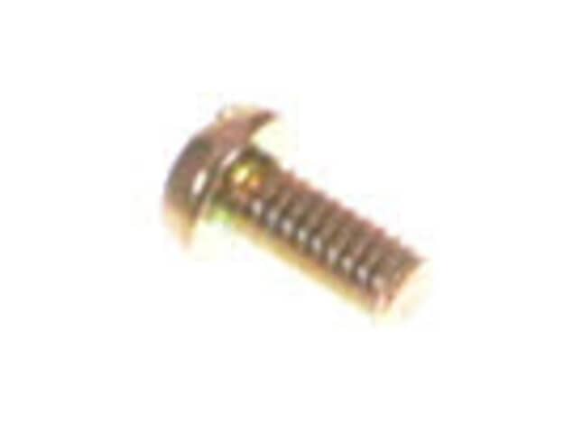 Echo Screw 4X8 - 90022004008