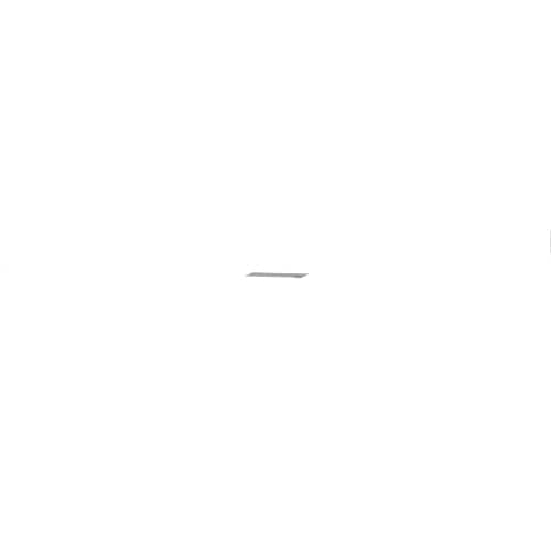 Echo Screen, Spark Arrester - A310000540