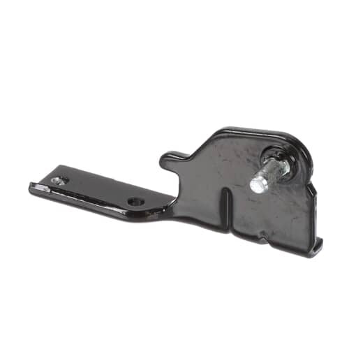 LG Center Hinge Assembly - AEH73856204