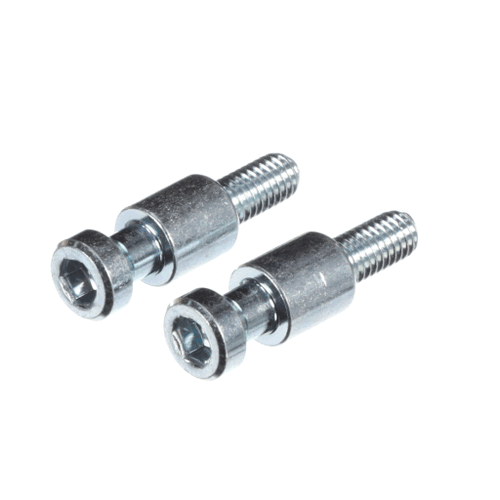 Bosch Screw - 10011752
