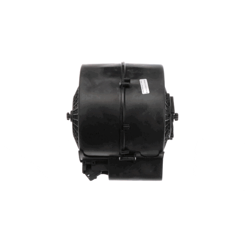 Bertazzoni Hood Motor Group - Z110207