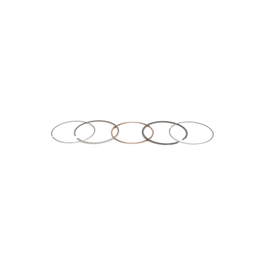 Briggs Stratton Ring Set - 843806