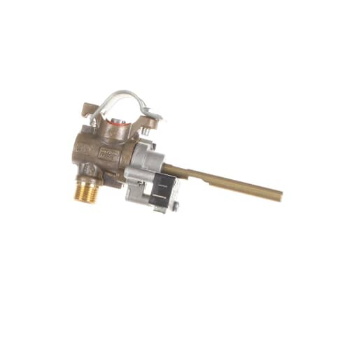 Samsung Svc-Asy Dual Valve Ng - DE81-02355A