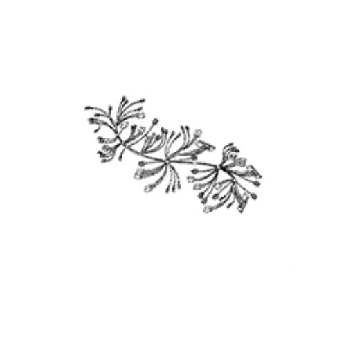 Whirlpool List, Service Parts - LIT3394547