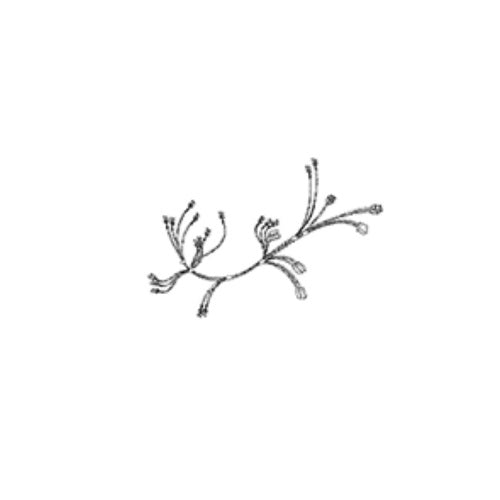 Whirlpool Gasket, Bottom - A4003801