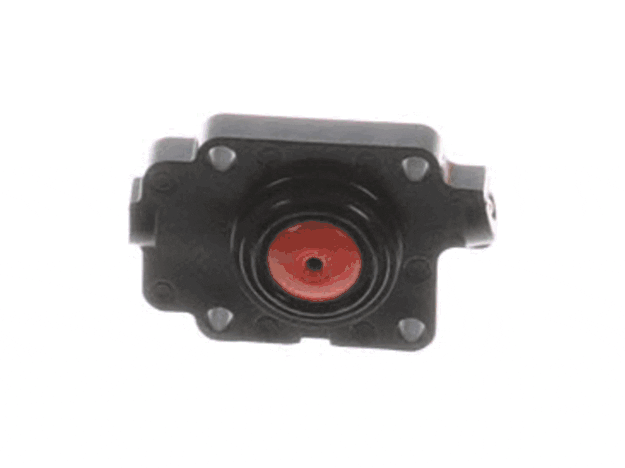 Echo Air Purge Body Assembly - 12318005560