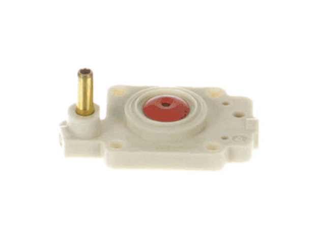 Echo Body Assembly-Air Purge - 12318046130