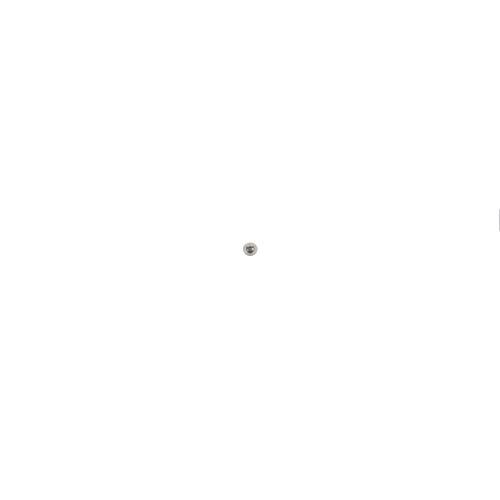 Echo Screw - 17723606910