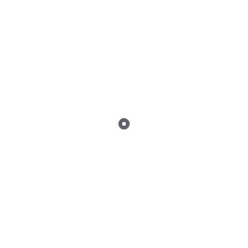 Echo Washer - 60501454230