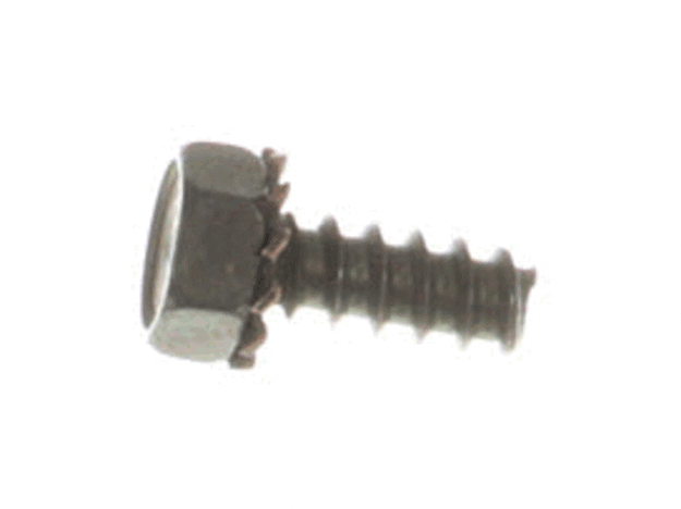 Echo Bolt - 88995325560