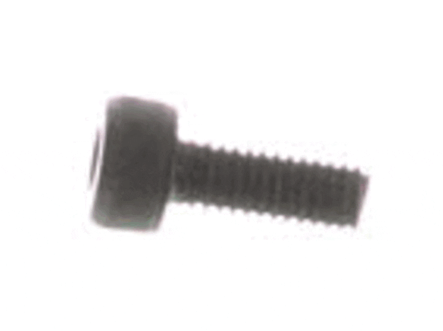 Echo Screw 4X10 - 90010504010