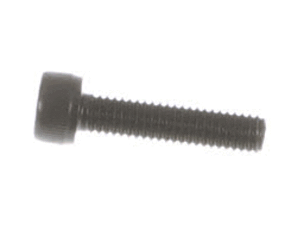 Echo Screw-6X25 - 90010506025