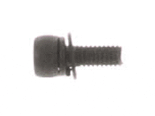 Echo Screw 4X10 - 90016204010