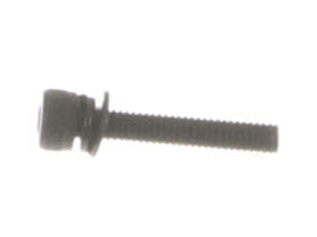Echo Screw 4X22 - 90016204022