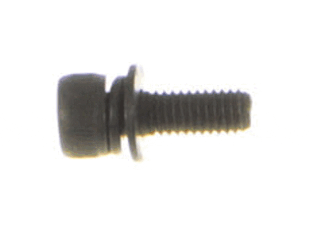 Echo Screw 5X14 - 90016205014