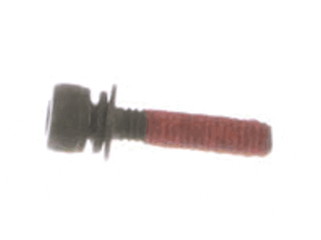 Echo Screw-4X18 - 90016304018