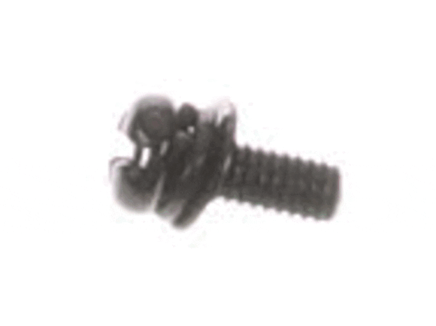 Echo Screw-4X10 - 90023804010