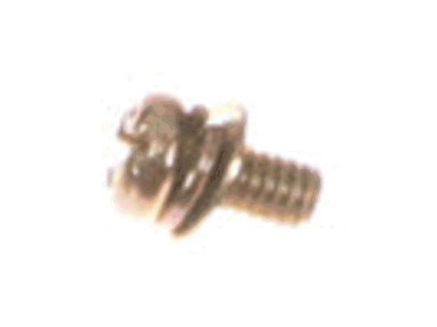 Echo Screw 4 X 8 - 90024204008