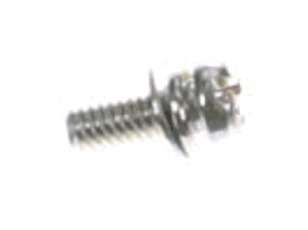 Echo Screw 4 X 10 - 90024204010