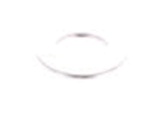 Echo Washer 5 - 90060000005