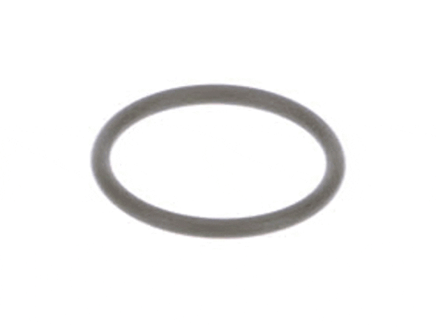 Echo O-Ring 22 - 90072000022