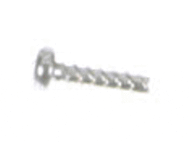 Echo Screw 3X10 - 9154503010
