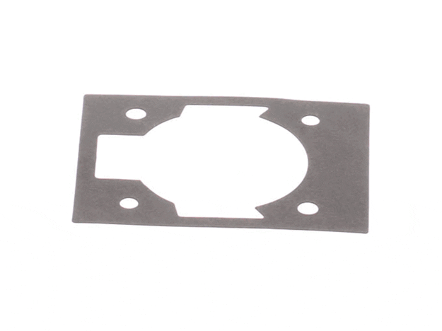Echo Gasket-Cylinder - V100000260