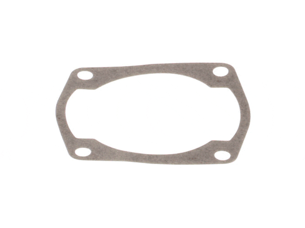 Echo Gasket, Cylinder - V100000270