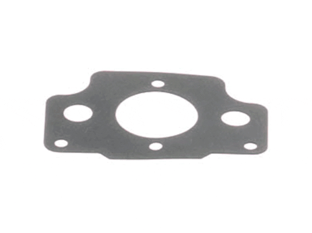 Echo Gasket-Intake - V103000021