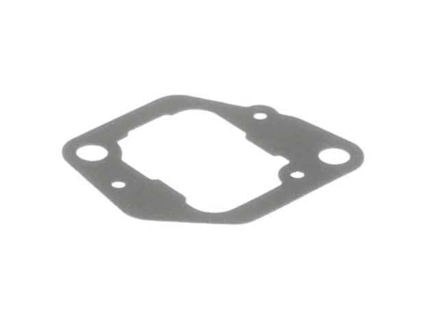Echo Intake Gasket - V103000120