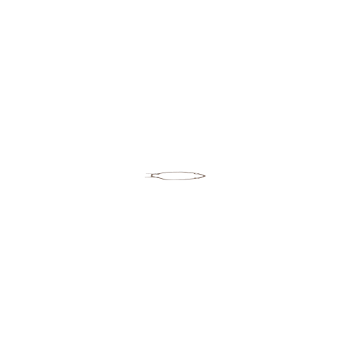Echo Gasket, Gear Case - V110000230