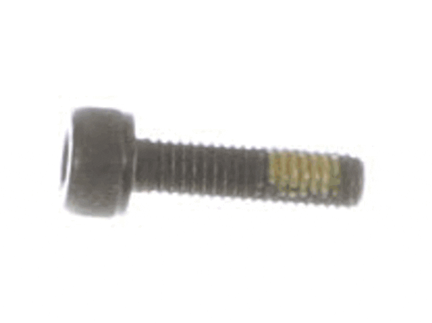 Echo Bolt - V203001600