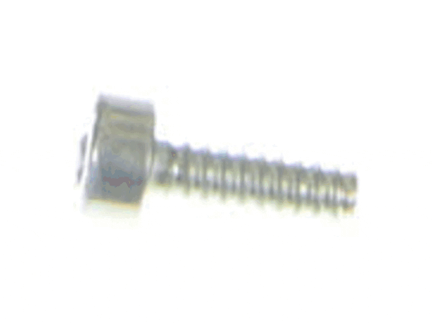 Echo Screw 4X12-Tapping - V804000000