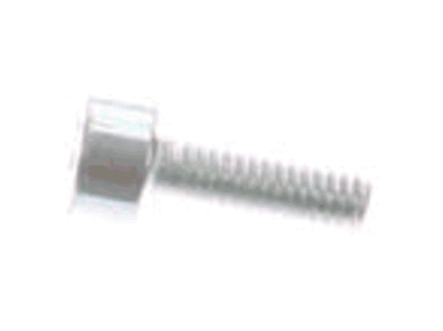 Echo Screw 4X12 - V804000050