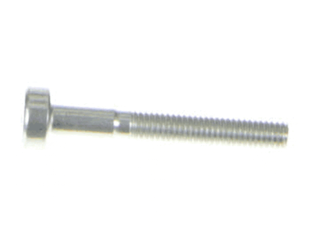Echo Screw 5X35 - V805000060