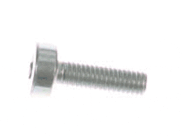 Echo Screw 5X16 - V805000150