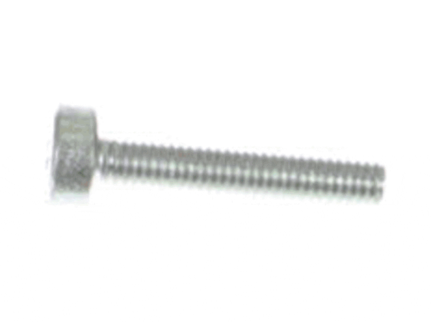 Echo Screw 5X25 - V805000170
