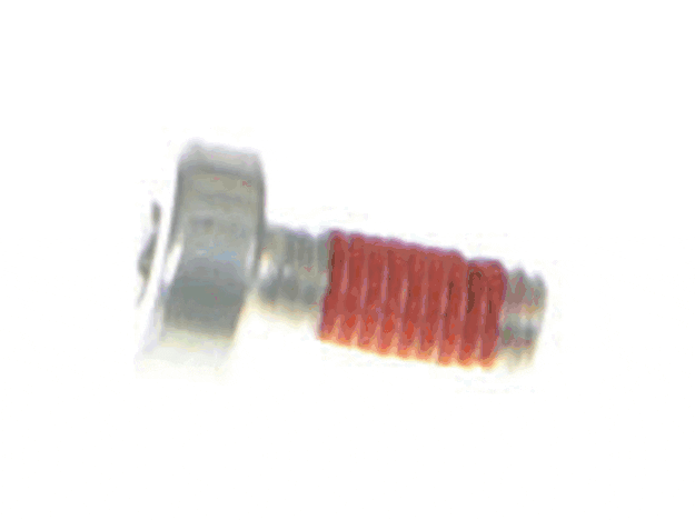 Echo Screw 5X12 - V835000010