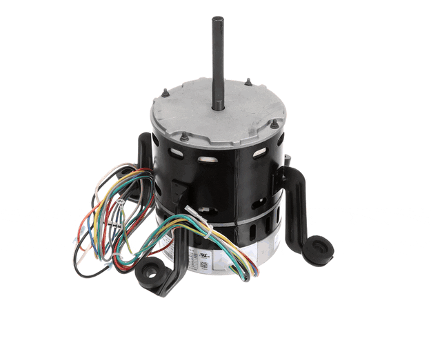 Echo Gear, Bevel - V651000330