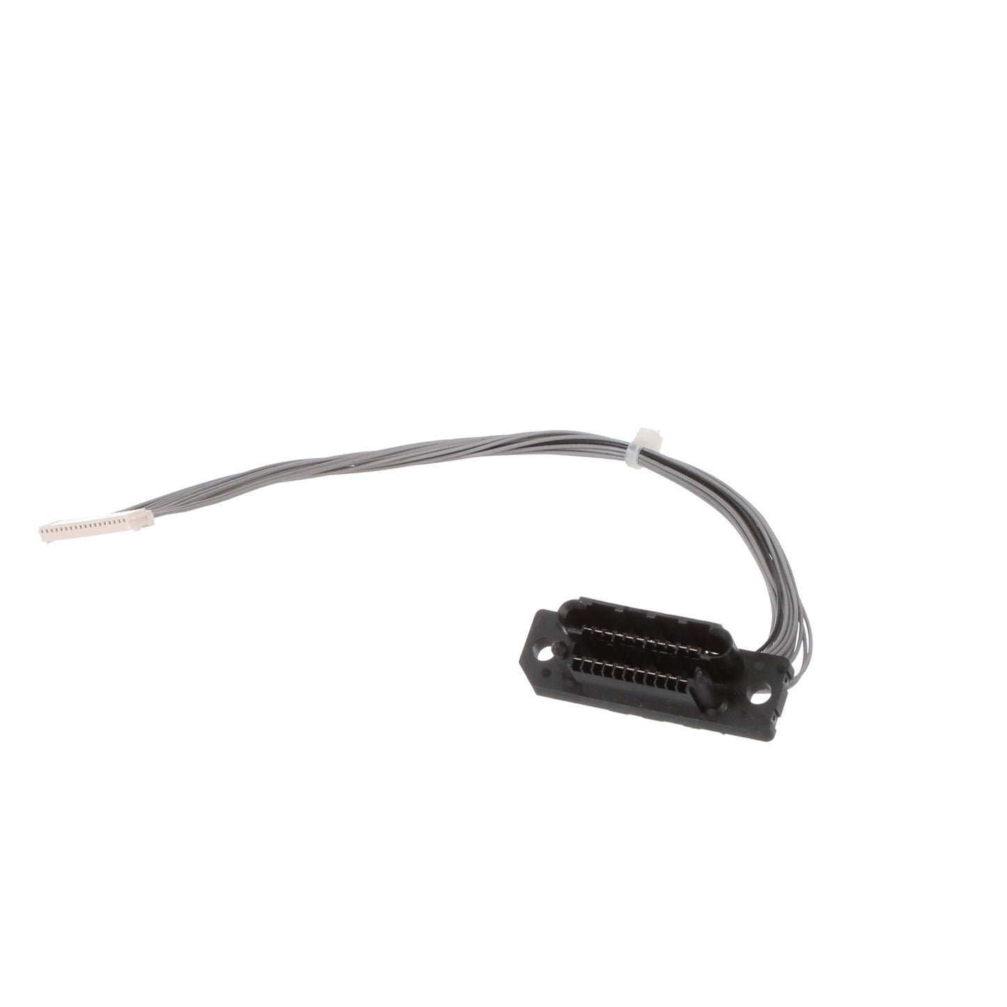 Ryobi Elect. Tools Hose (50Mm) - 080009006234