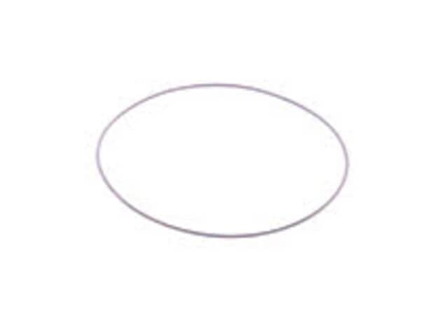 Echo O-Ring - P005000280