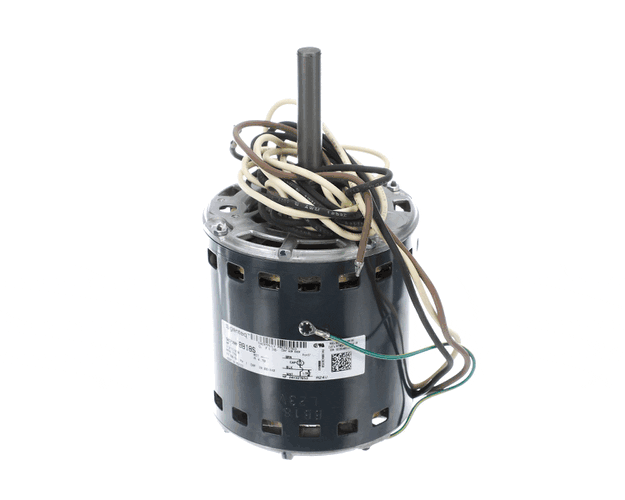 Whirlpool Nlastrap K - B1351801