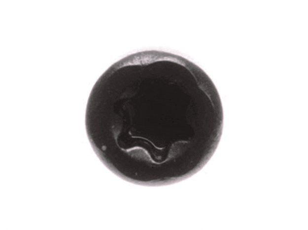 Ryobi Elect. Tools Screw - 030157001019
