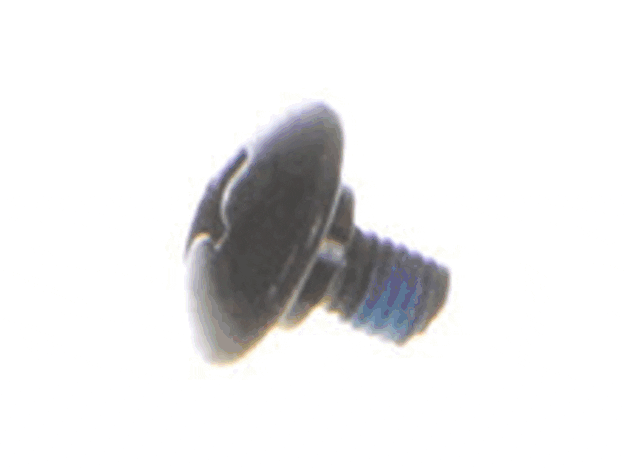 Ryobi Elect. Tools Screw M5 - 089006017040