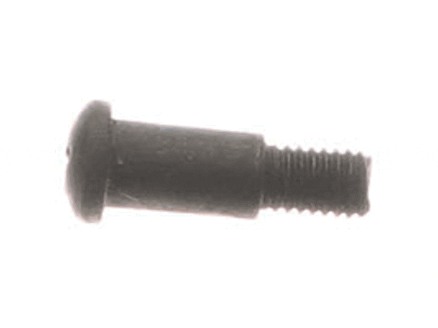 Ryobi Elect. Tools Screw M5 X 17 Mm, Phillips Hd. - 089240003018