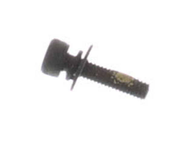 Echo Bolt M4X16 - V202000200