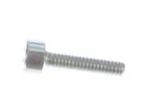 Echo Screw - V804000060